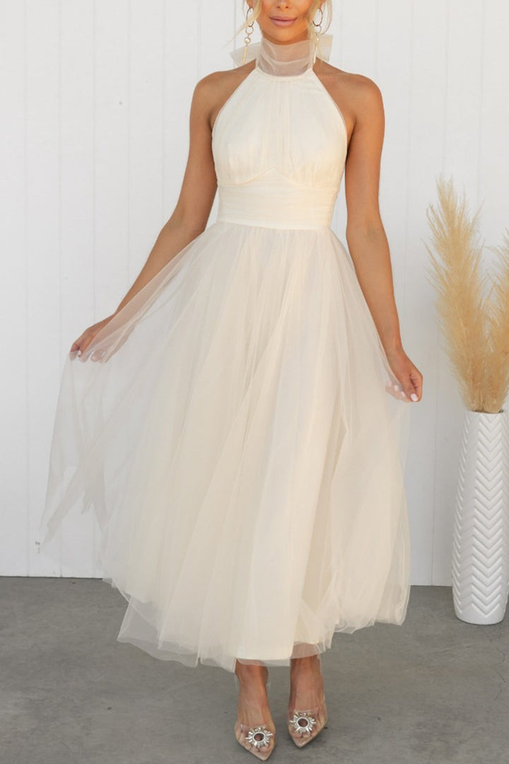 Mesh Halter Neck High Waist Maxi Dress